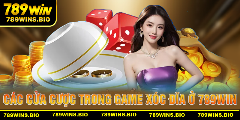 Các cửa cược thường có trong game xóc đĩa 789win