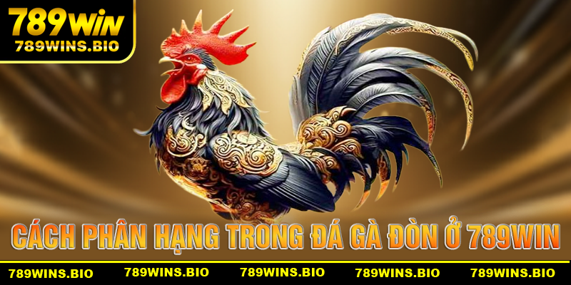 Các hạng cân trong đá gà đòn tại 789win