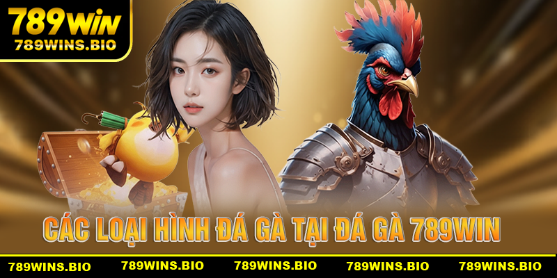 Những loại hinh đá gà nổi bật tại đá gà 789win
