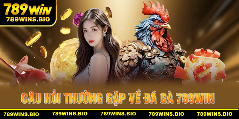 Những câu hỏi thường gặp về sảnh đá gà 789win