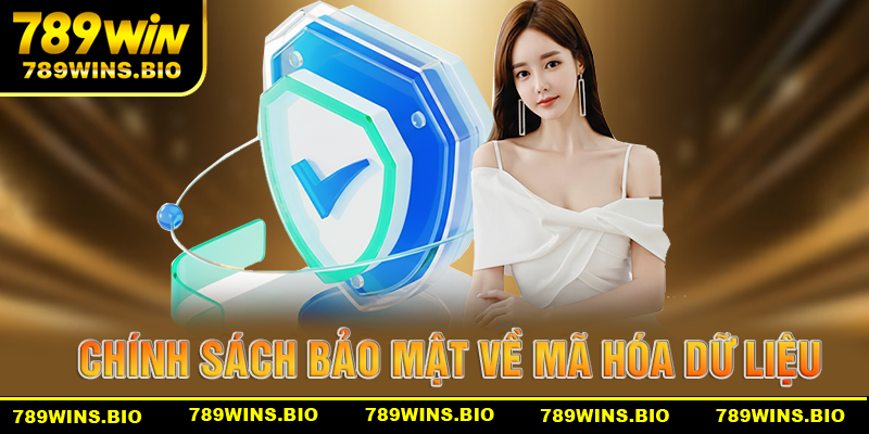 Chính sách bảo mật 789win về mã hóa dữ liệu