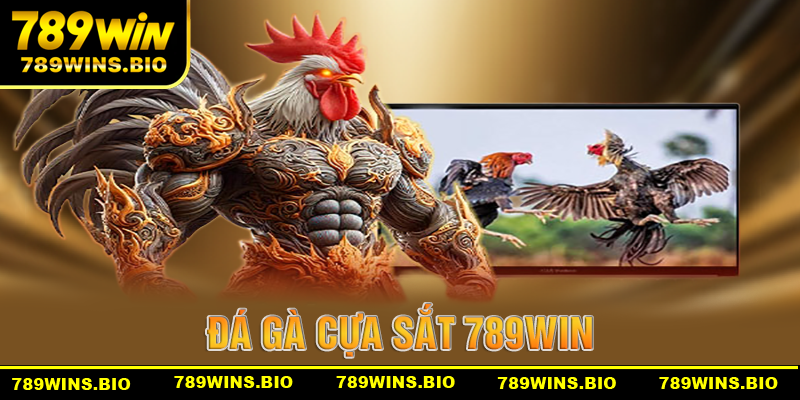 Tổng quan thông tin về trang game đá gà cựa sắt