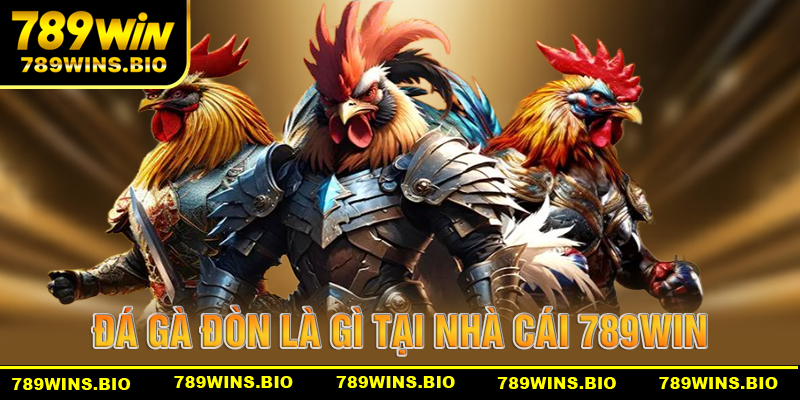 Định nghĩa về đá gà đòn là gì tại 789win