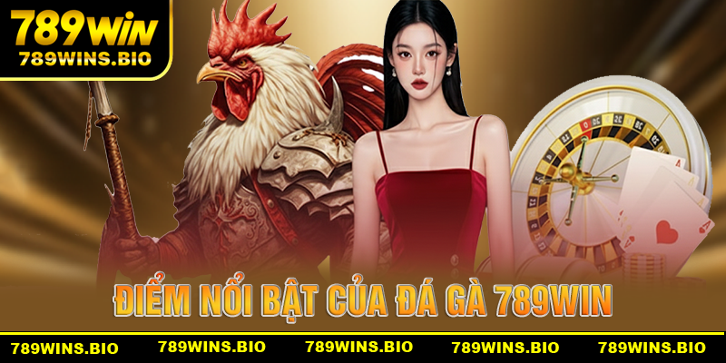 Những Điểm Nổi Bật Làm Nên Tên Tuổi Cho Đá Gà 789win