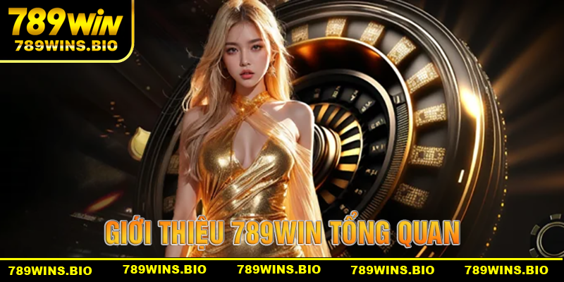 Giới Thiệu 789Win Tổng Quan Về Nhà Cái