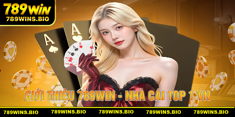 Thông Tin Tổng Quan Nhà Cái VIP Đẳng Cấp 5 Sao