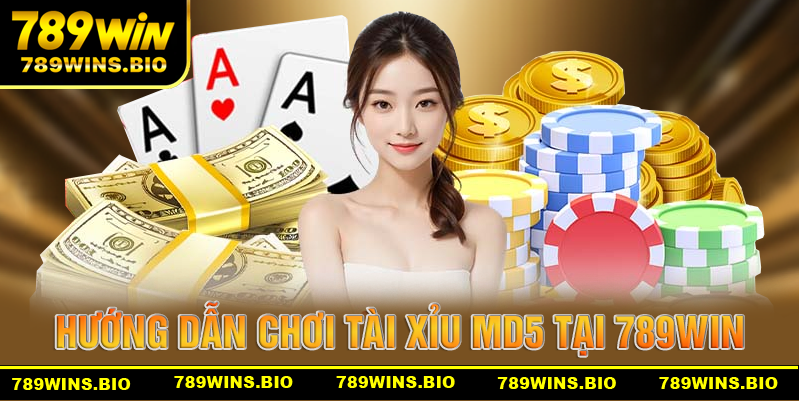 Hướng dẫn chơi game tài xỉu MD5 chi tiết nhất