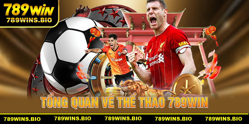 Tổng quan về trang thể thao 789win