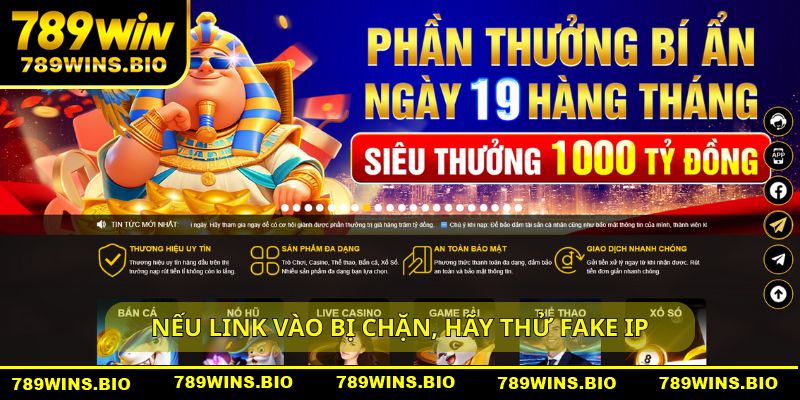 Nếu link vào bị chặn, hãy thử fake IP